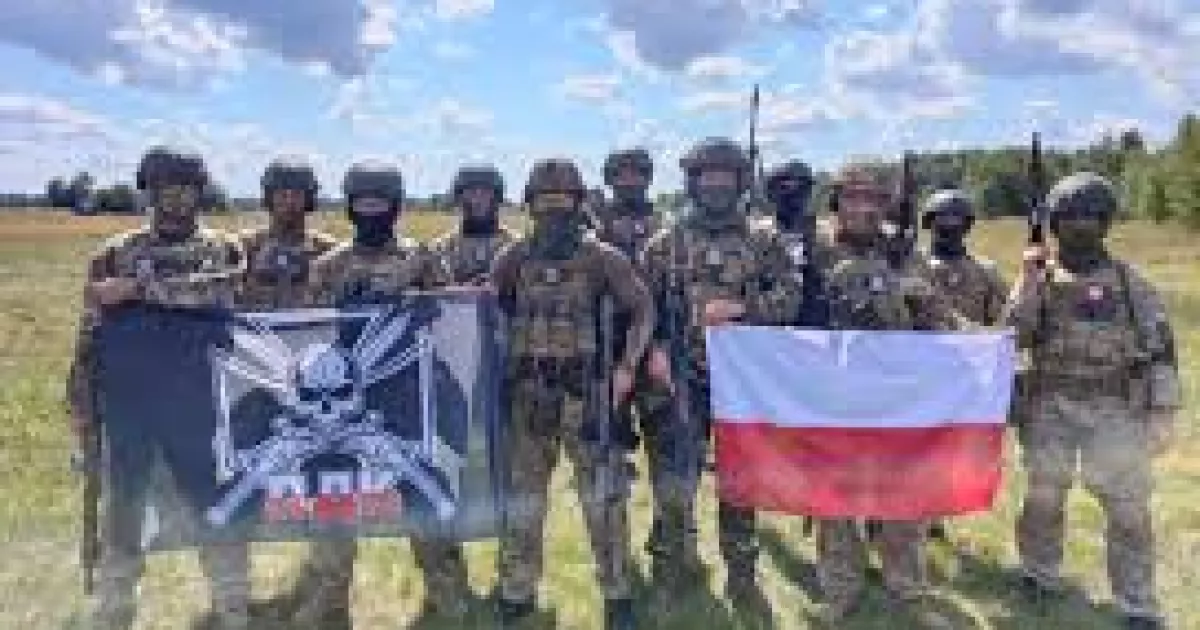 Сейм схвалив амністію: поляків, які воюють за Україну, звільнять від покарання