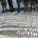 Батько та син з Ізмаїла затримані за браконьєрство: збитки 2,5 млн грн