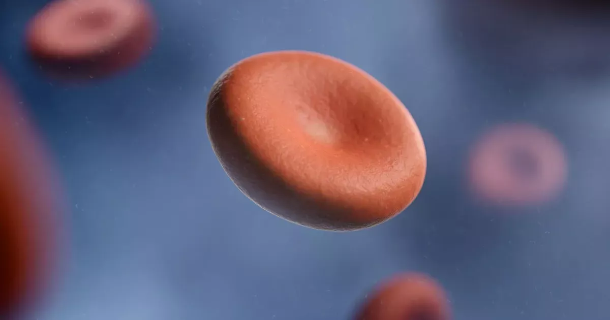 Вчені визначили нову групу крові: зразок досліджували 50 років