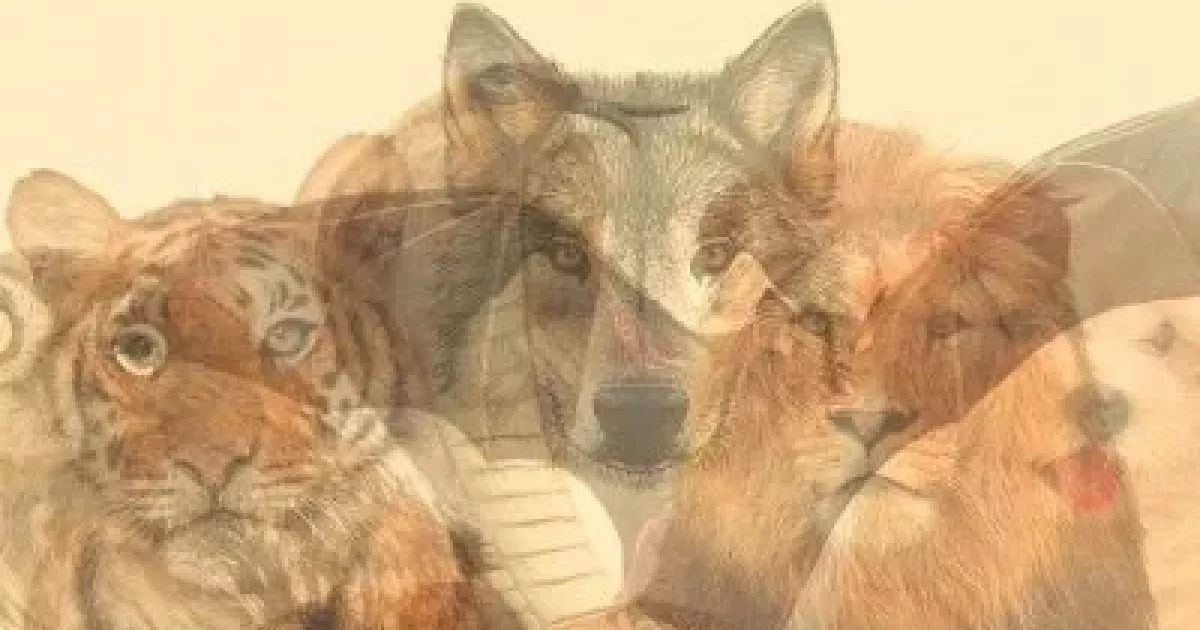 Кого з тварин побачили першою? Тест покаже ваші домінантні риси