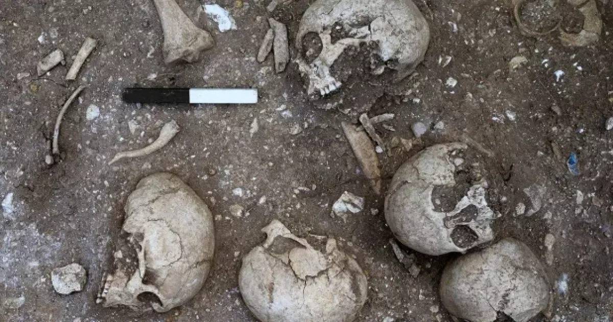Археологи виявили моторошну знахідку епохи вікінгів — шокуючі фото