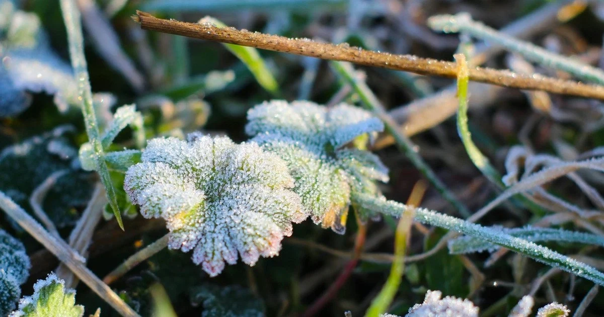 Дійде навіть до заморозків? Як погода здивує Львів на Великдень
