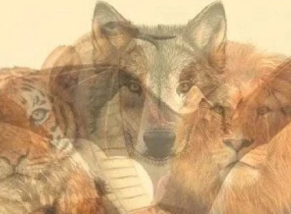 Кого з тварин побачили першою? Тест покаже ваші домінантні риси