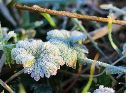 Дійде навіть до заморозків? Як погода здивує Львів на Великдень