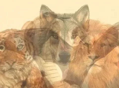 Кого з тварин побачили першою? Тест покаже ваші домінантні риси