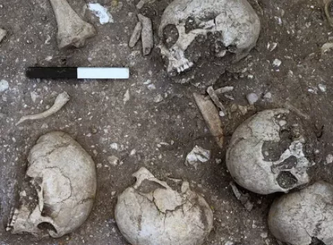 Археологи виявили моторошну знахідку епохи вікінгів — шокуючі фото